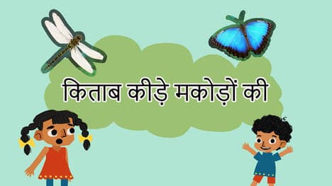 Buzzy Bugs - An Introduction to Insects - Hindi