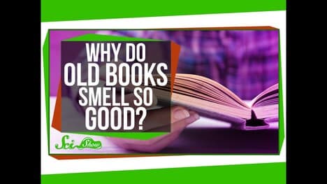 Why Do Old Books Smell So Good?