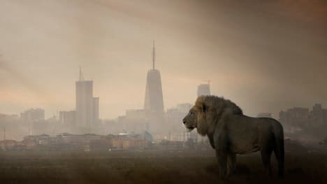 Solidarity: The Power of Collaboration and Support