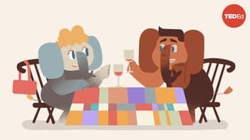 TED-Ed: 4 things all great listeners know | TED-Ed