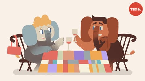 TED-Ed: 4 things all great listeners know | TED-Ed