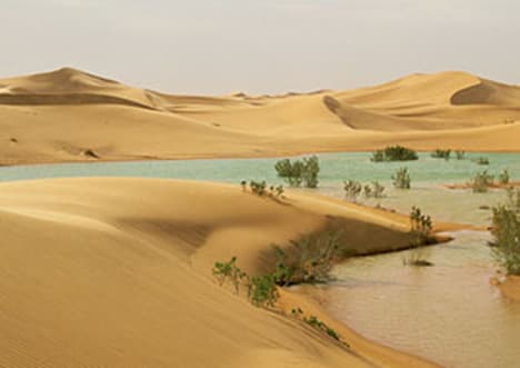 Extreme Living: The Sahara