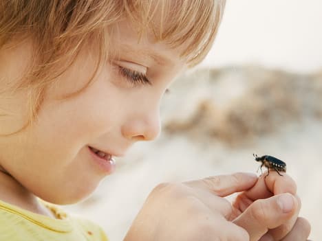 Resilience and Friendship