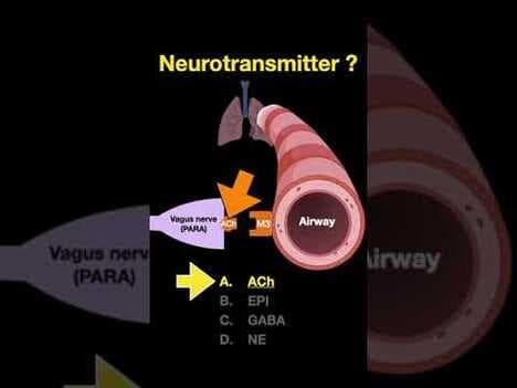 Testing ANS #shorts (Part D)