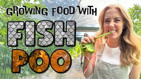 How to grow Fish Poo Salad!? | Aquaponics for Kids | Maddie Moate