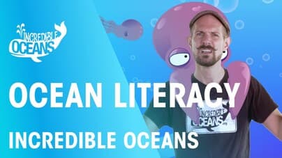 Welcome to Incredible Oceans