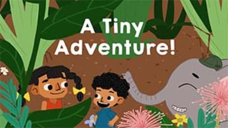 A Tiny Adventure