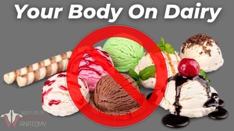 Is Dairy ACTUALLY Bad For You?