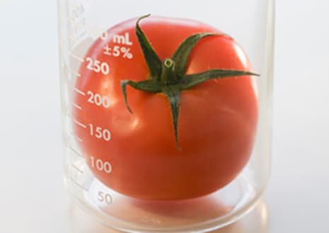 Genetic Modification