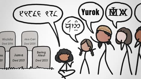 Why is the Number of Languages Increasing?