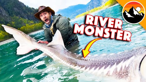 I Caught a 300lb River Monster!