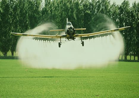 The Elements: Phosphorus