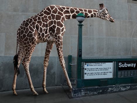 Truthfulness: The Importance of Honesty and Authenticity