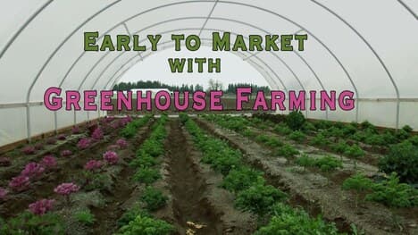 Innovative Farming: Mastering the Challenges of Off-Season Cultivation