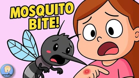 Ouch! I Got a Mosquito Bite