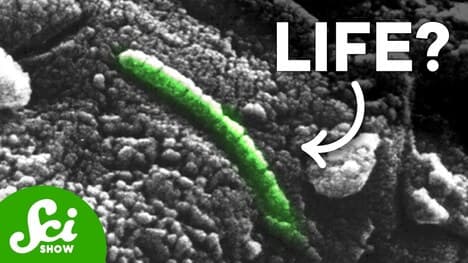 NASA's Most Controversial Rock