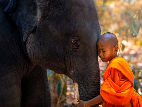 The Importance of Punctuality