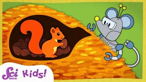 Stupendous Squirrel Storage! | Winter is Alive! | SciShow Kids