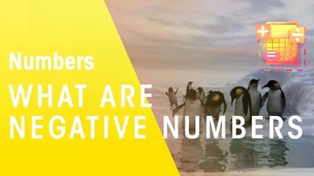 What Are Negative Numbers?