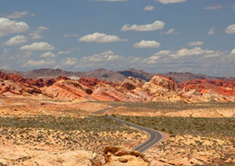 Ecosystem Management: Deserts