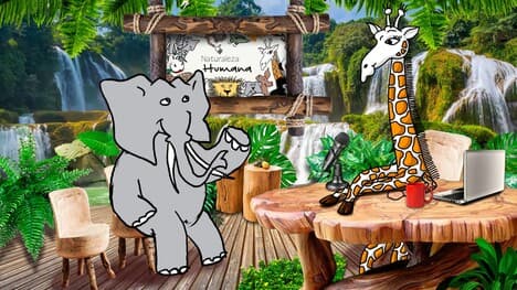 Adaptability: Lessons from Onai the Octopus