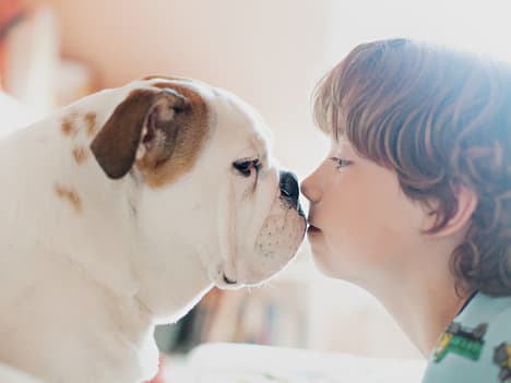 The Importance of Patience: Lessons from Hannah the Hummingbird