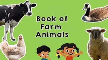 Introduction to Farm Animals