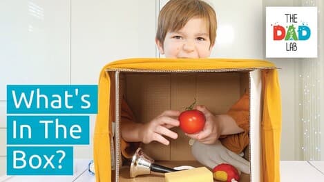 Kids Sensory Challenge: What's in the Box?