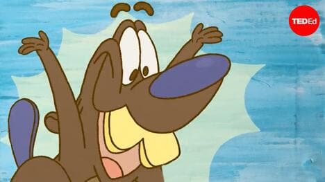 TED-Ed: Why do beavers build dams? | Glynnis Hood