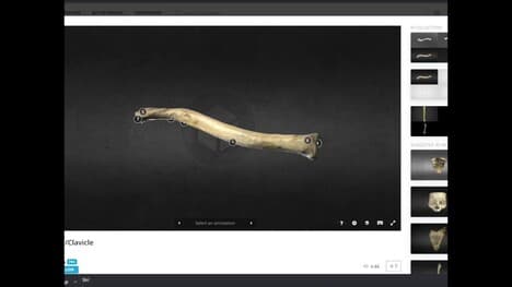 Anatomy | The Scapula and Clavicle