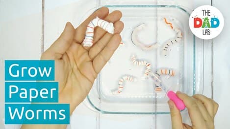 Paper Worms Science Activity for Halloween