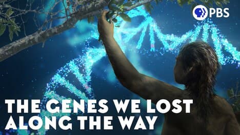 The Genes We Lost Along the Way
