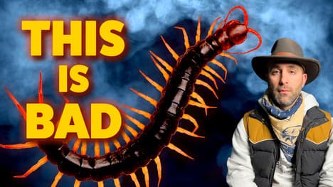 The Craziest Thing I'll Ever Do