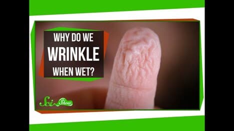 Why Do We Wrinkle When Wet?