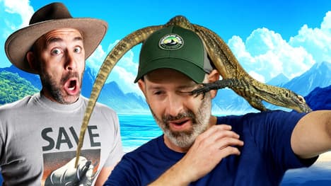 Tug O' War with a Giant Crocodile