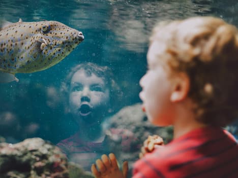 Innovation and Creativity: A Story of Saving a Cake Shop