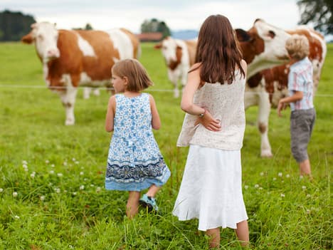 The Importance of Commitment