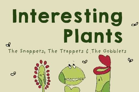 Snappers trappers - All about different plant