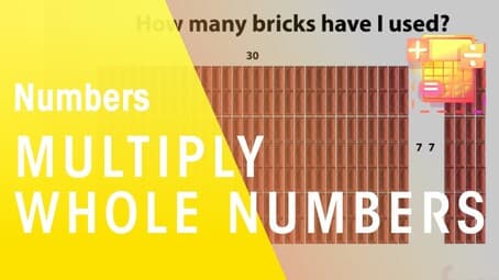 How To Multiply Whole Numbers By A Single Digit