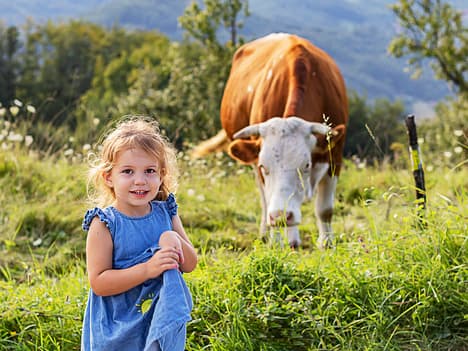 The Power of Mindfulness