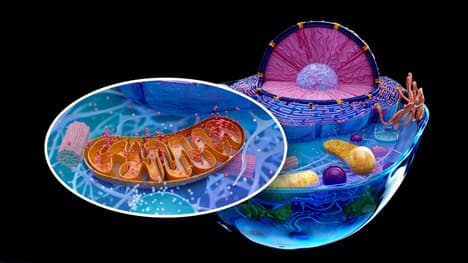 Is There A Simple Solution To The Fermi Paradox?