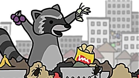 Why do Some Species Thrive in Cities?