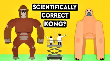 Could A Mammal As Big As King Kong Ever Exist