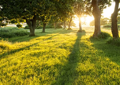 Photochemical reactions