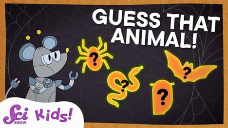 Not-So-Creepy Creatures | SciShow Kids Compilation