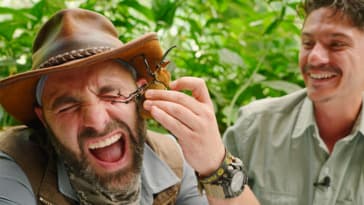 PINCHED by an Elephant Beetle!