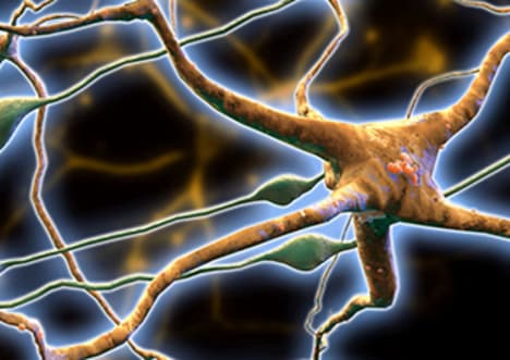 Neurons as Networks