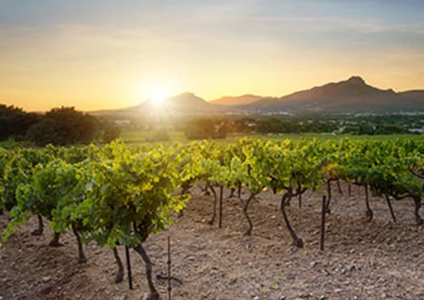 The Elements: Nitrogen