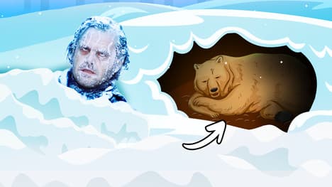 Why Don’t Humans Hibernate?