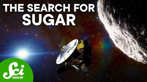 A Sugar-Coated Asteroid May Have Made All Life Possible